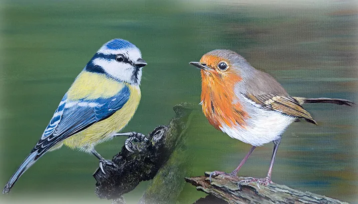 vogeltjes banner