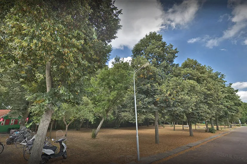 vrijburglaan google maps