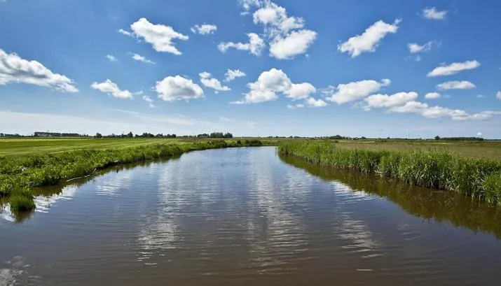 weidevogels bootexcursie banner