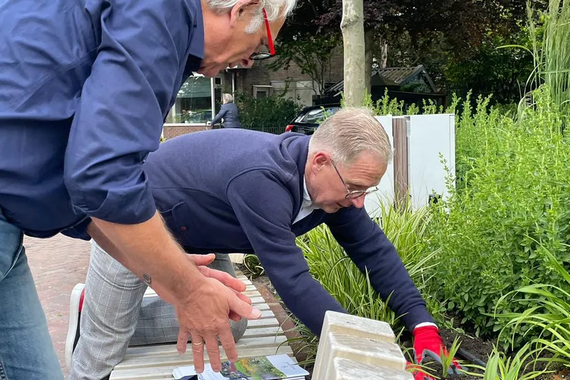 whatsapp image 2022 06 01 at 15313 pm 2