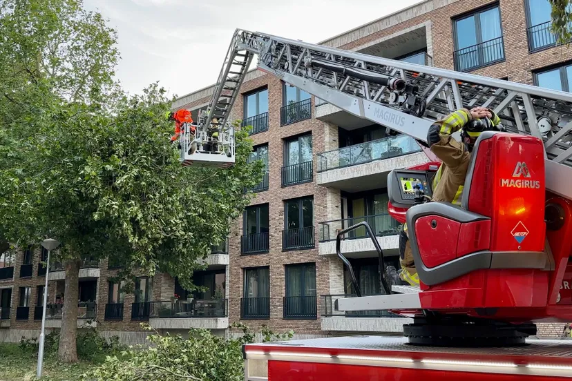 whatsapp image 2023 07 07 at 092631 1