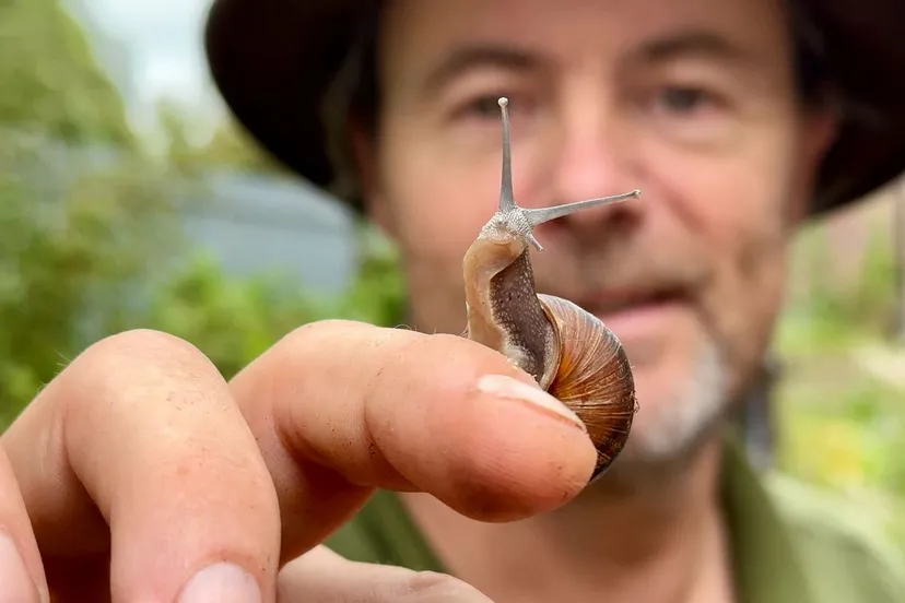 whatsapp image 2023 09 30 at 122023 1