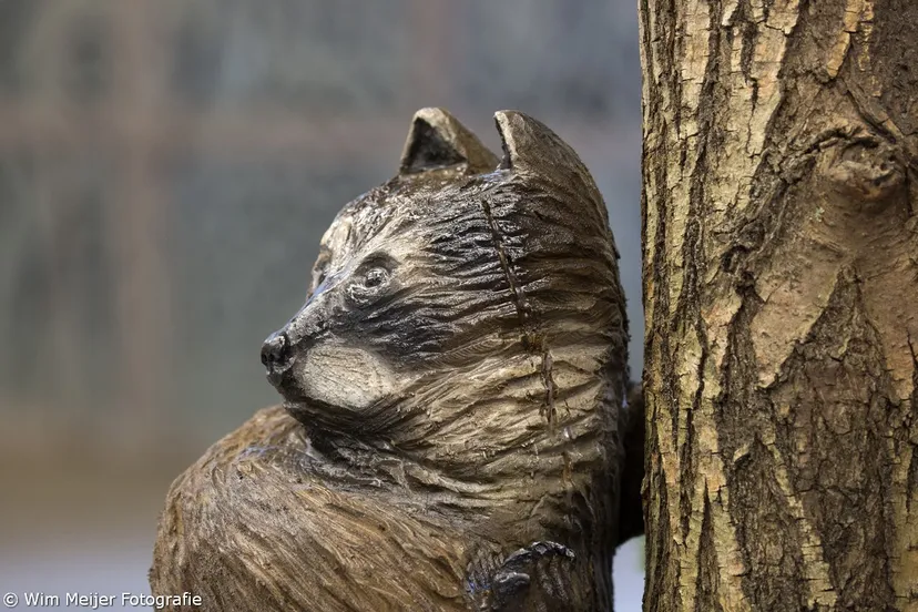 wim meijer fotografie 5i5a5109