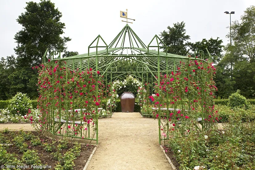 wim meijer fotografie 5i5a9036