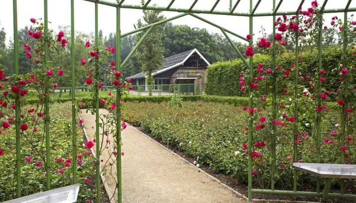 wim meijer fotografie 5i5a9039 715x408