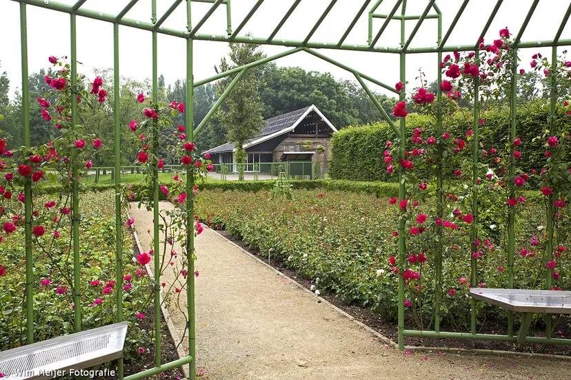 wim meijer fotografie 5i5a9039