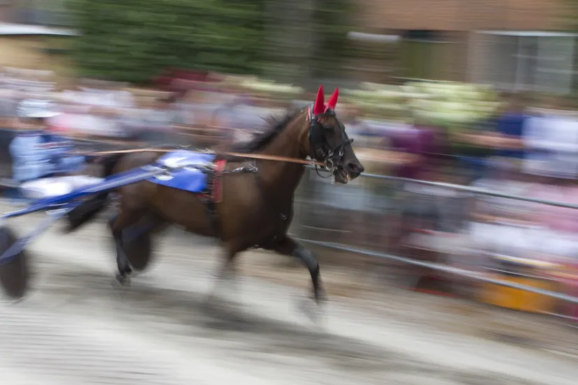 wim meijer fotografie img 0075 banner