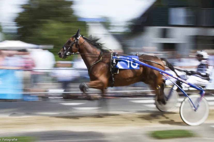 wim meijer fotografie img 1066