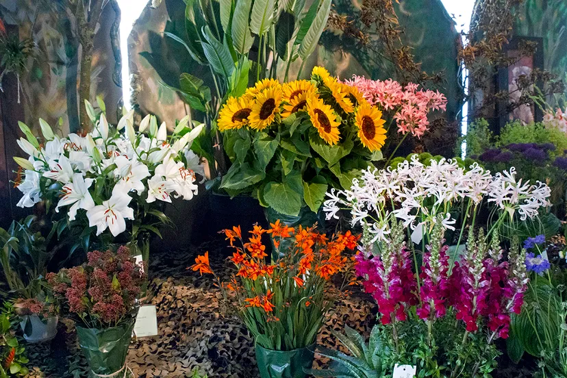 wim meijer fotografie img 1592