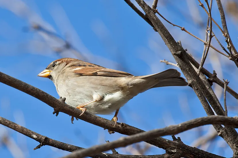wim meijer fotografie mg 9407