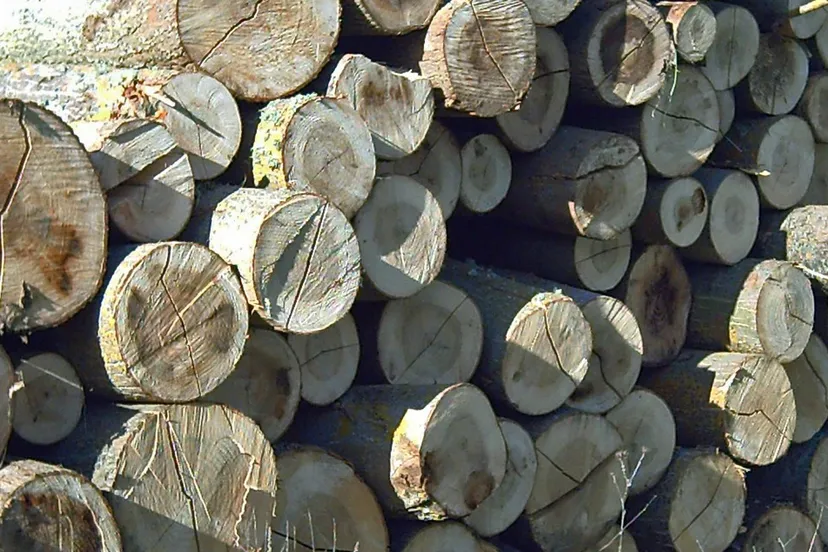 wood 76968 1920 pixabay