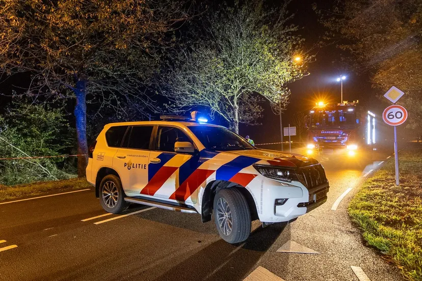 38d8f96b 07c3 409f 844f 4785c2a6212e