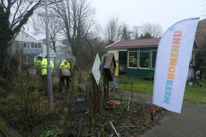 20250212 oogst buurttuin 3a