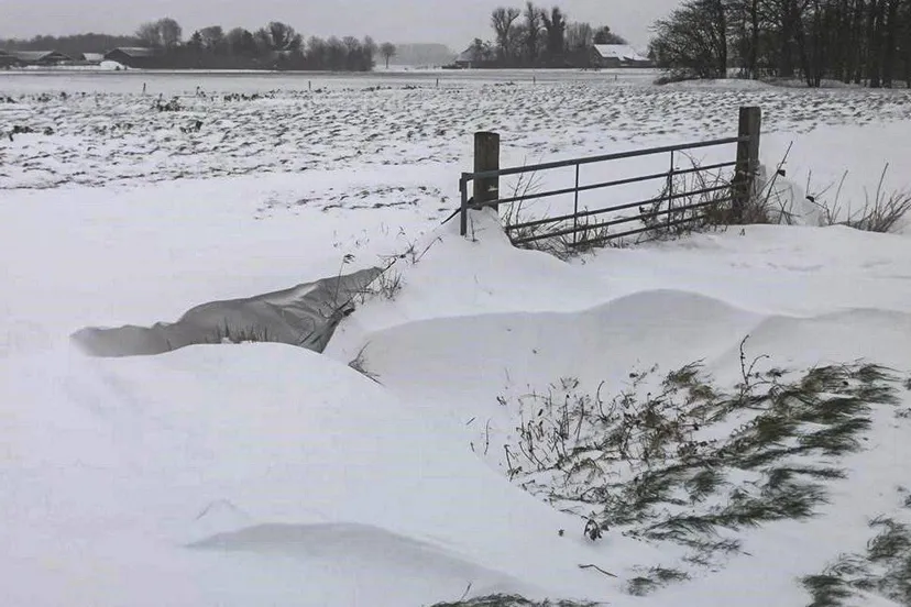 het klimaat en het weer koude winters kopieren