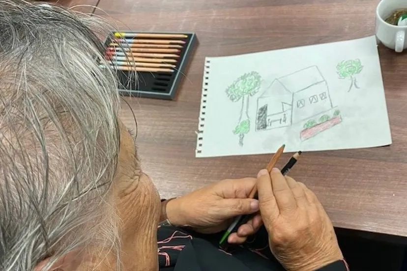 dagbeweging november