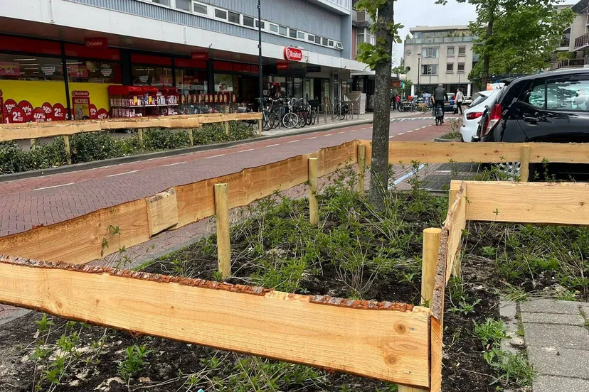 492568770 1076315307860331 7211174012861200535 n