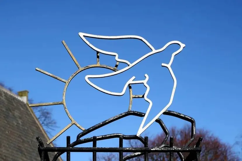 5i5a1194 cover 6696d30cc5803jpg