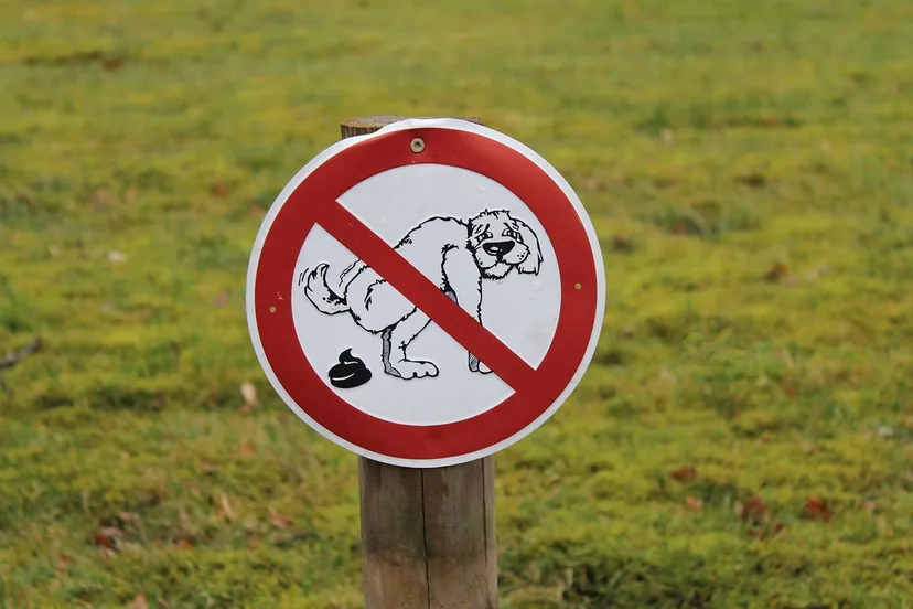 design 01jsf5dat7 1745339480 kopie rawpixel