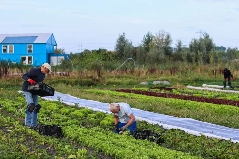 herenboeren rorik joyce schouten 1