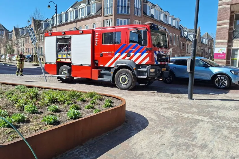 img 20250405 wa0010jpg