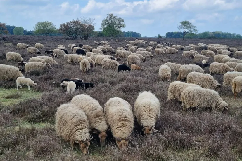 whatsapp image 2025 04 27 at 112757