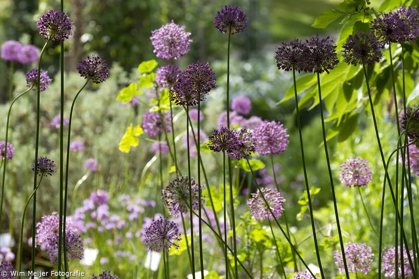 464662583 28045387665046486 7479723963146845792 n