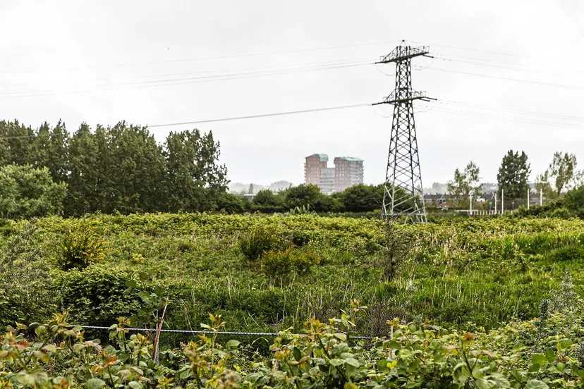 494a3637 aagtenpark wim meijer fotografie small