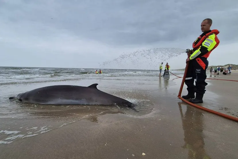 524351062_1180065920824825_3654437013316940659_n (1)