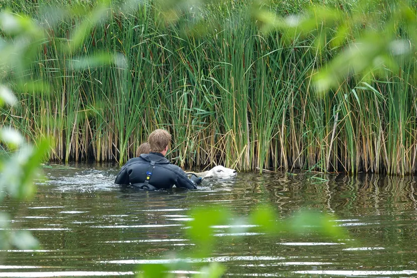 DSC05769 (1)_resized