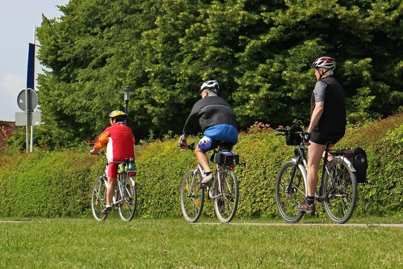 leisure-time-373859_1920