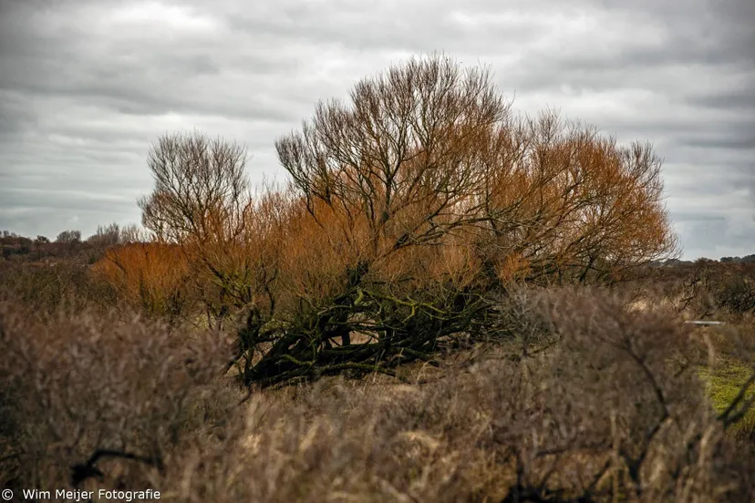 486367943_10229978968884359_2716607942828784974_n