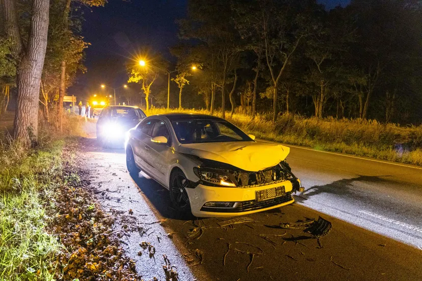 18 oktober 2021 nieuwsfoto hert 01 scaled