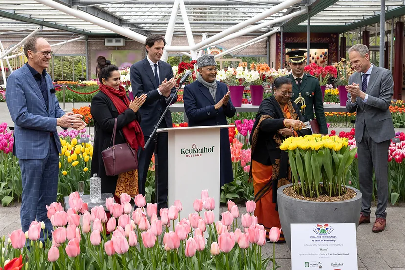 277672449 343902424451111 4740586401500753599 n