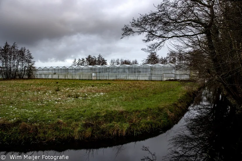 3z1a7511 kassen manpadslaan