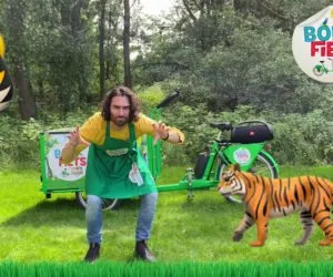 boekfiets tijger 300x250