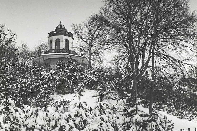 borselen willem jan van noord hollands archief 1