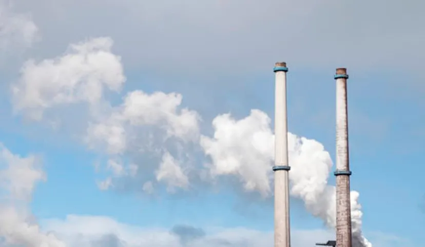 co2 wim meijer fotografie