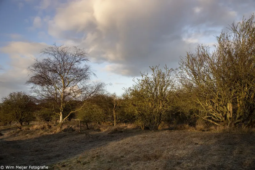 duinenreportage 100219 wim meijer fotografie