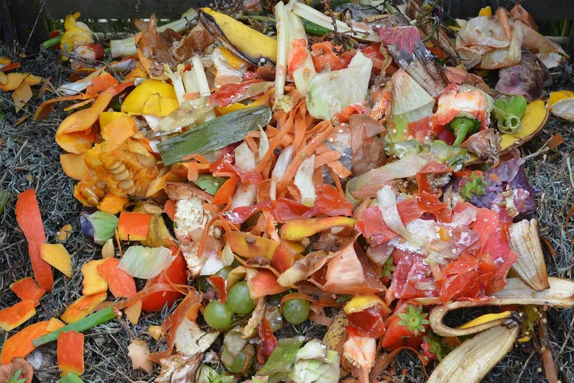 green waste 513609 1920 gft pixabay