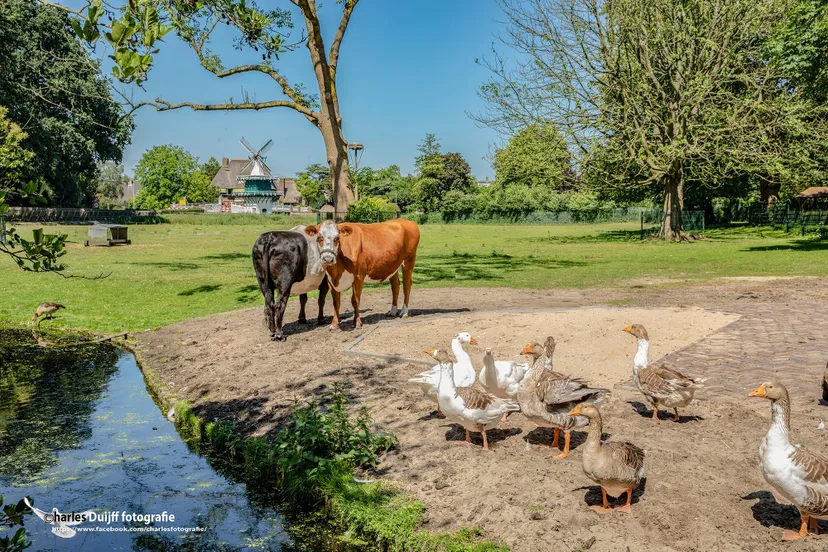 pitoresk groenendaal