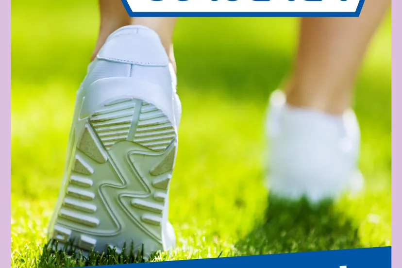 raamposter heemstede hondenpoepvrij a3