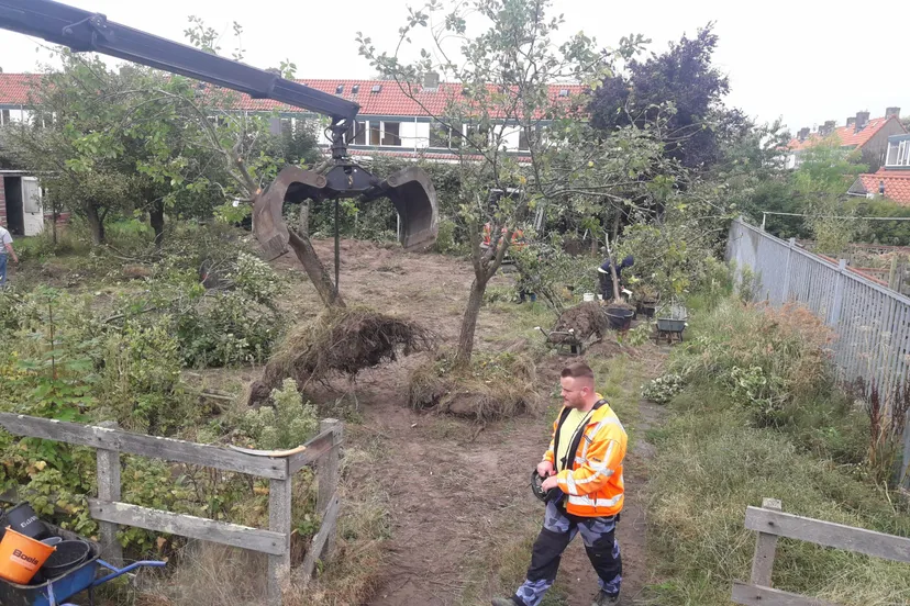 rijnsburgstruikroven scaled