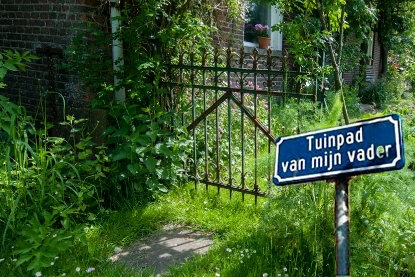 tuinhek 1 van 1kopie