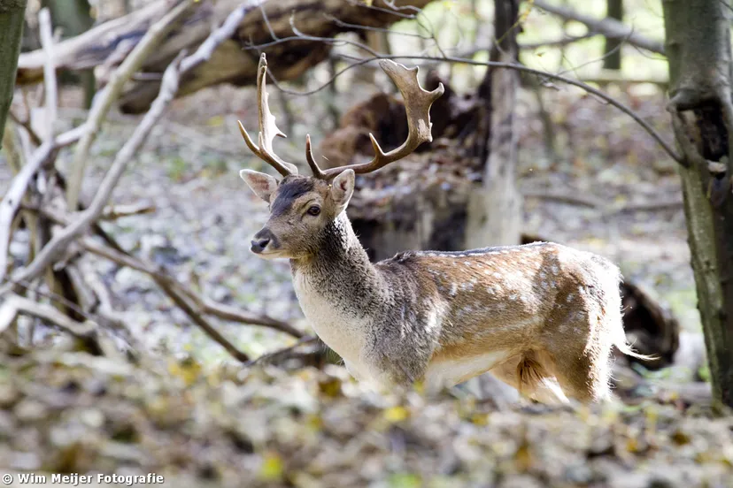 tumblr mvfzv372xf1svvyvco6 1280