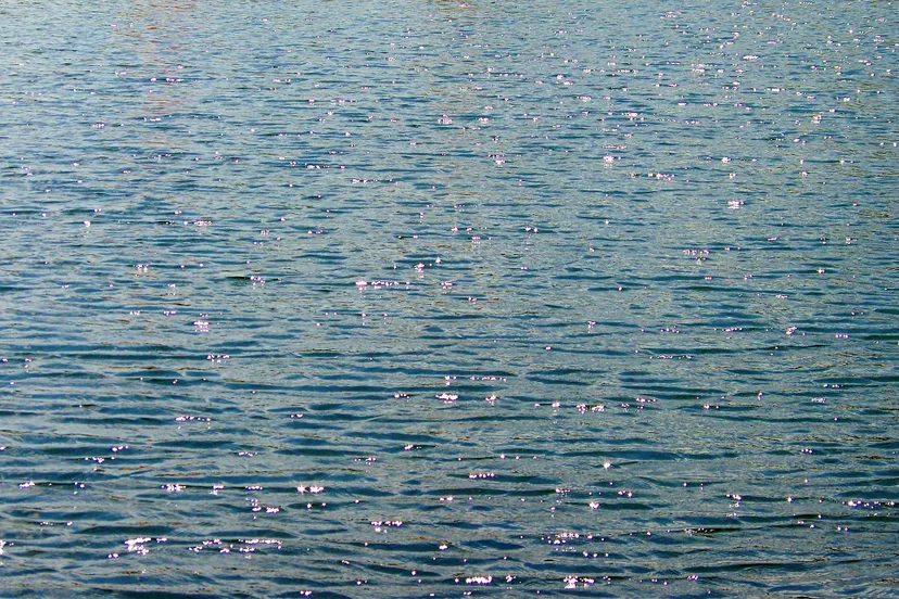 vijverwater pixabay public domain pictures