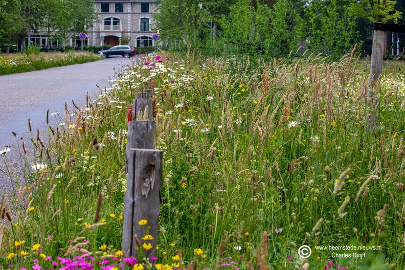 vrijheidsdreef actueel