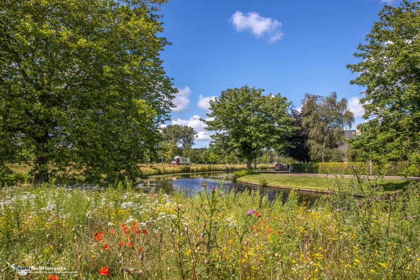 vrijheidsdreef fraai