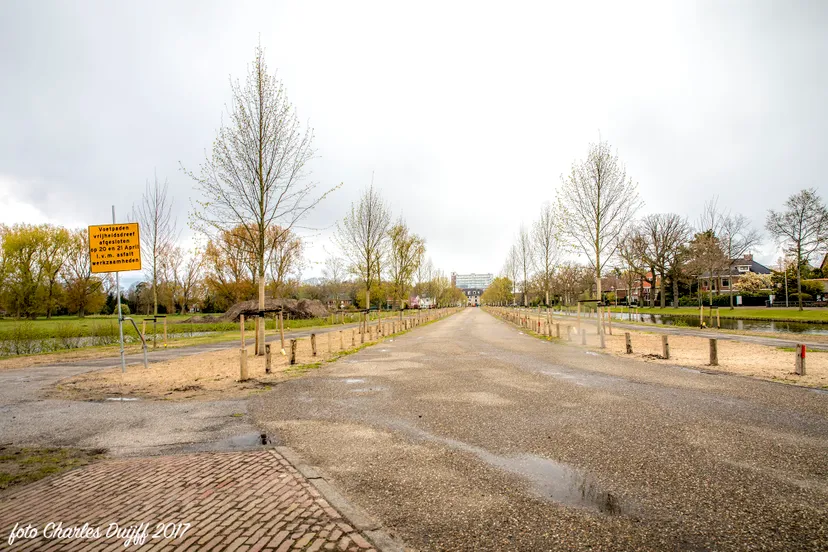 vrijheidsdreef
