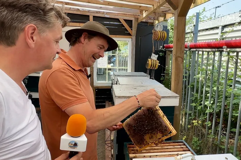 whatsapp image 2023 06 17 at 123337 2