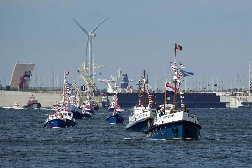 whatsapp image 2024 05 24 at 091106